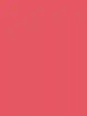 Бальзам для губ Butter Lip Tinted Conditioner PHYSICIANS FORMULA, тон: розовый рай, 7,9 мл