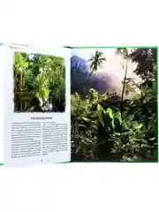 Книга детская энциклопедия "Кто в джунглях живет?" А4 гладкая бумага. Проф-Пресс