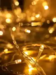 Желтый гирлянда на елку, шнур 10 м