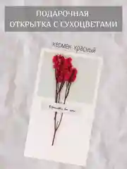 Красный открытка для цветов и подарков сухоцветы, открытка подарочная "С днём рождения", открытки