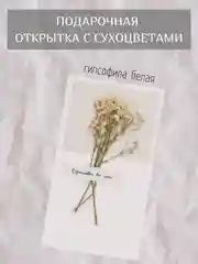 Белый открытка для цветов и подарков сухоцветы, открытка подарочная "С днём рождения", открытки