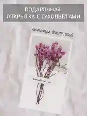Пурпурный открытка для цветов и подарков сухоцветы, открытка подарочная "С днём рождения", открытки