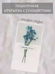 Голубой открытка для цветов и подарков сухоцветы, открытка подарочная "С днём рождения", открытки
