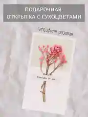 Розовый открытка для цветов и подарков сухоцветы, открытка подарочная "С днём рождения", открытки