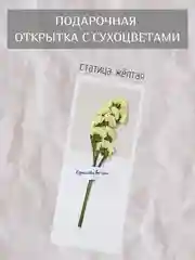 Горчичный открытка для цветов и подарков сухоцветы, открытка подарочная "С днём рождения", открытки