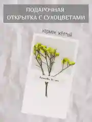 Бронзовый открытка для цветов и подарков сухоцветы, открытка подарочная "С днём рождения", открытки