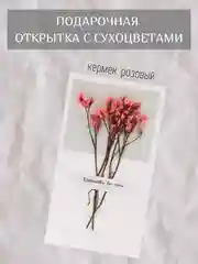 Пудровый открытка для цветов и подарков сухоцветы, открытка подарочная "С днём рождения", открытки