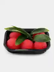 Горчичный лапка ,Таба лапка, лапка сквиш большая, арбузная лапка ,орео ,капибара, котик