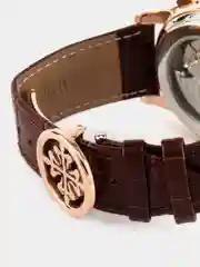 Коричневый часы механические, мужские