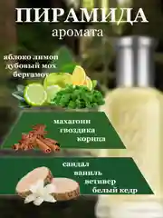Парфюм для мужчин по мотиву аромата "Хюго босс", объем 5 мл