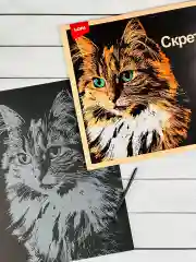 Скретчинг гравюра цветная детская Кошка кошечка котенок Лори