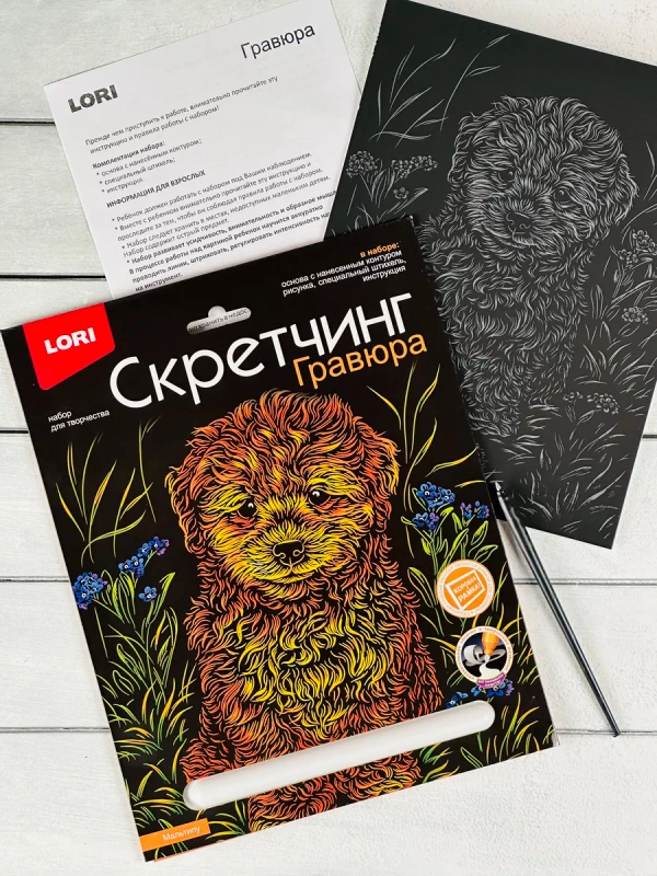 Гравюра цветная детская Щенок Собака порода Мальтипу Лори
