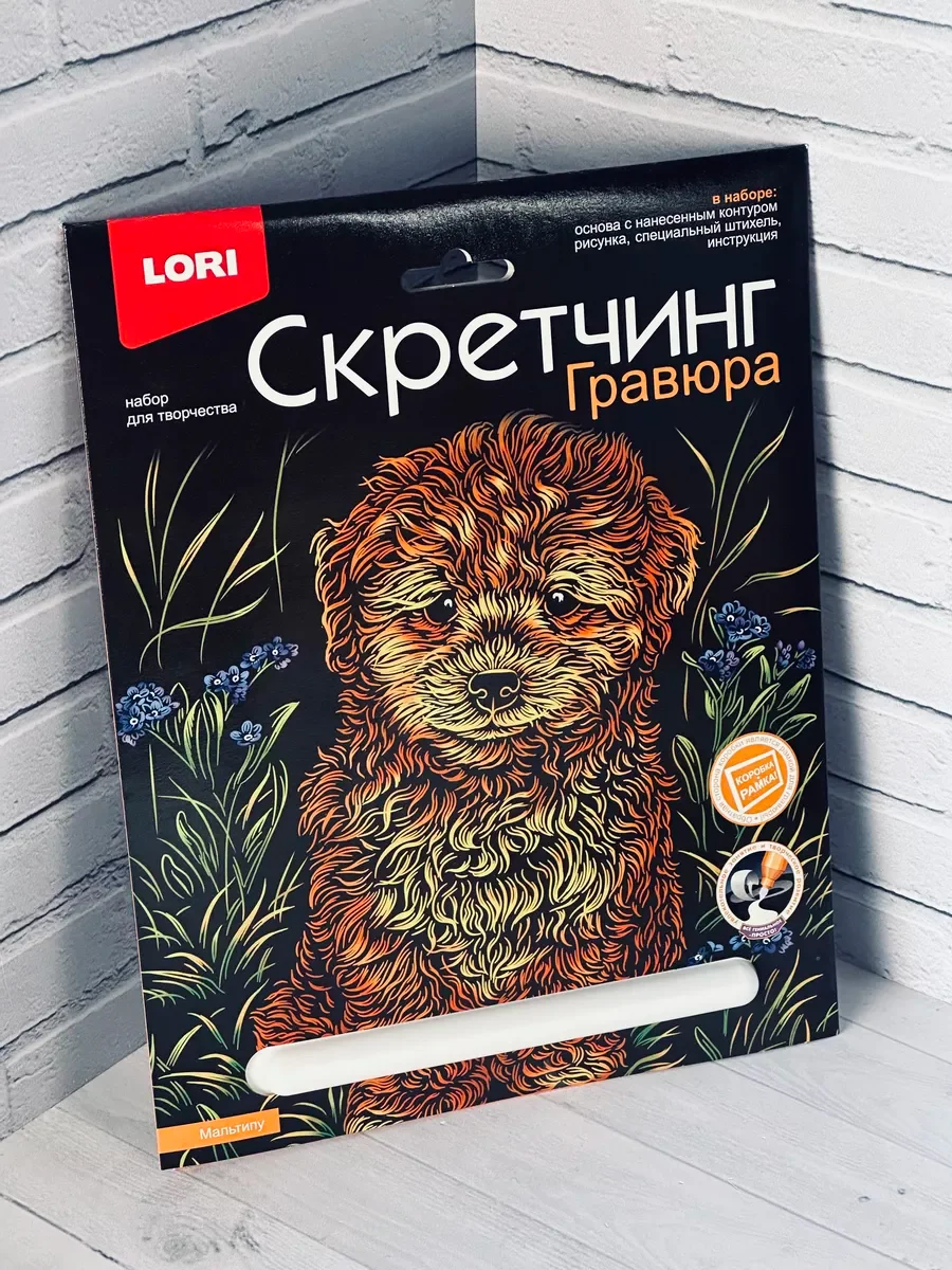 Гравюра цветная детская Щенок Собака порода Мальтипу Лори