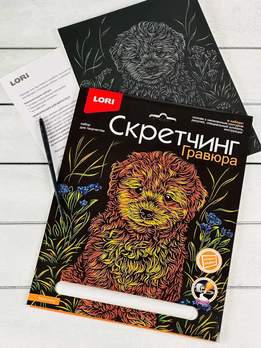 Гравюра цветная детская Щенок Собака порода Мальтипу Лори