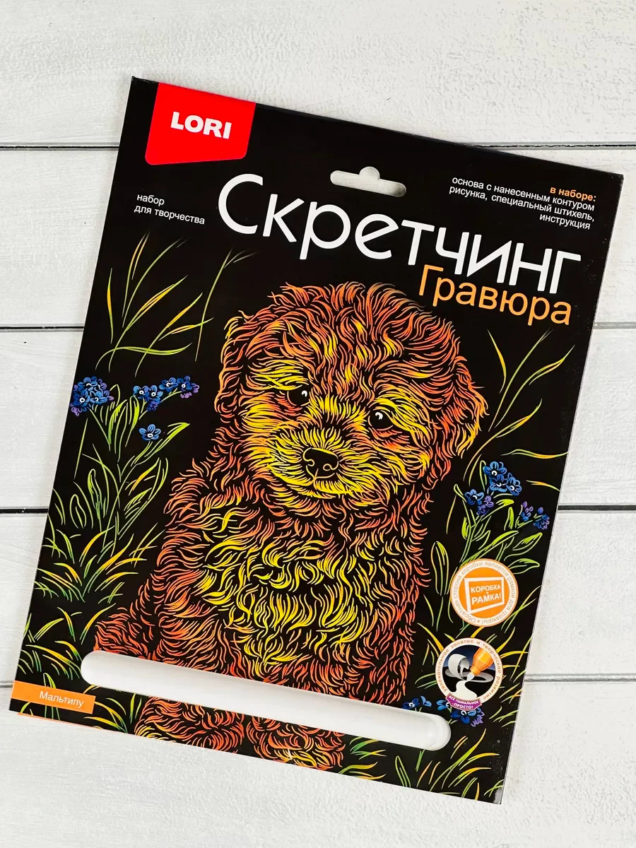 Гравюра цветная детская Щенок Собака порода Мальтипу Лори