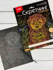 Гравюра цветная детская Щенок Собака порода Мальтипу Лори