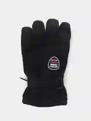 Хром горнолыжные перчатки женские, балоневые