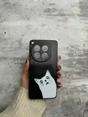 Чехол для Camon 30 Premier 5G  с принтом, с рисунком (Камон 30 Премьер 5 Джи)