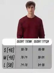 Бордовый толстовка мужская, худи, свитшот, лонгслив с начесом, унисекс