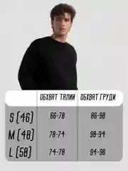 Черный толстовка мужская, худи, свитшот, лонгслив с начесом, унисекс