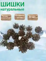 Шишки еловые
