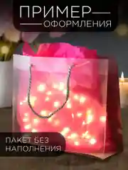 Прозрачный подарочный пластиковый пакет, 25 х 20 х 8 см