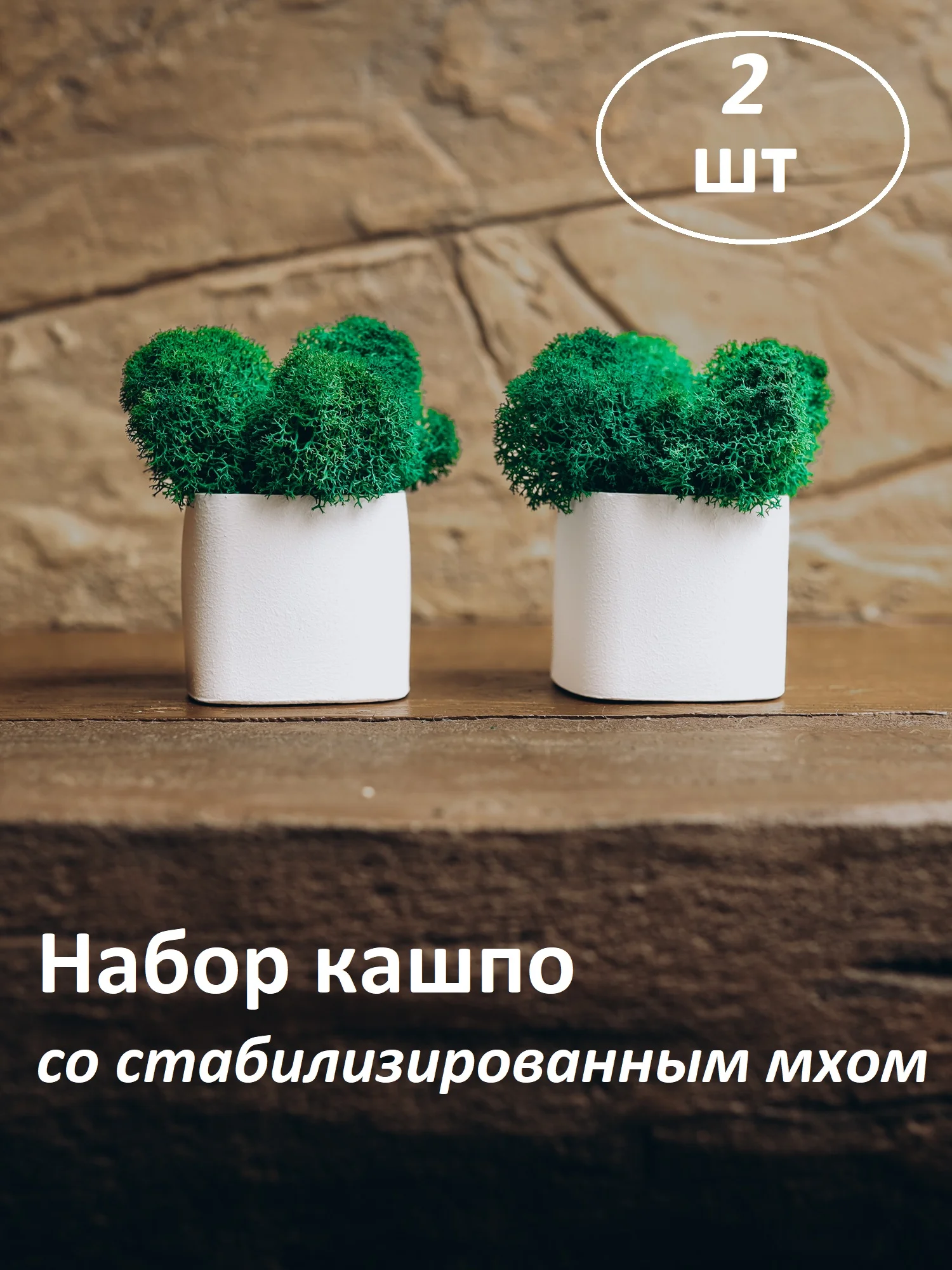 Белый набор декоративных кашпо со стабилизированным мхом