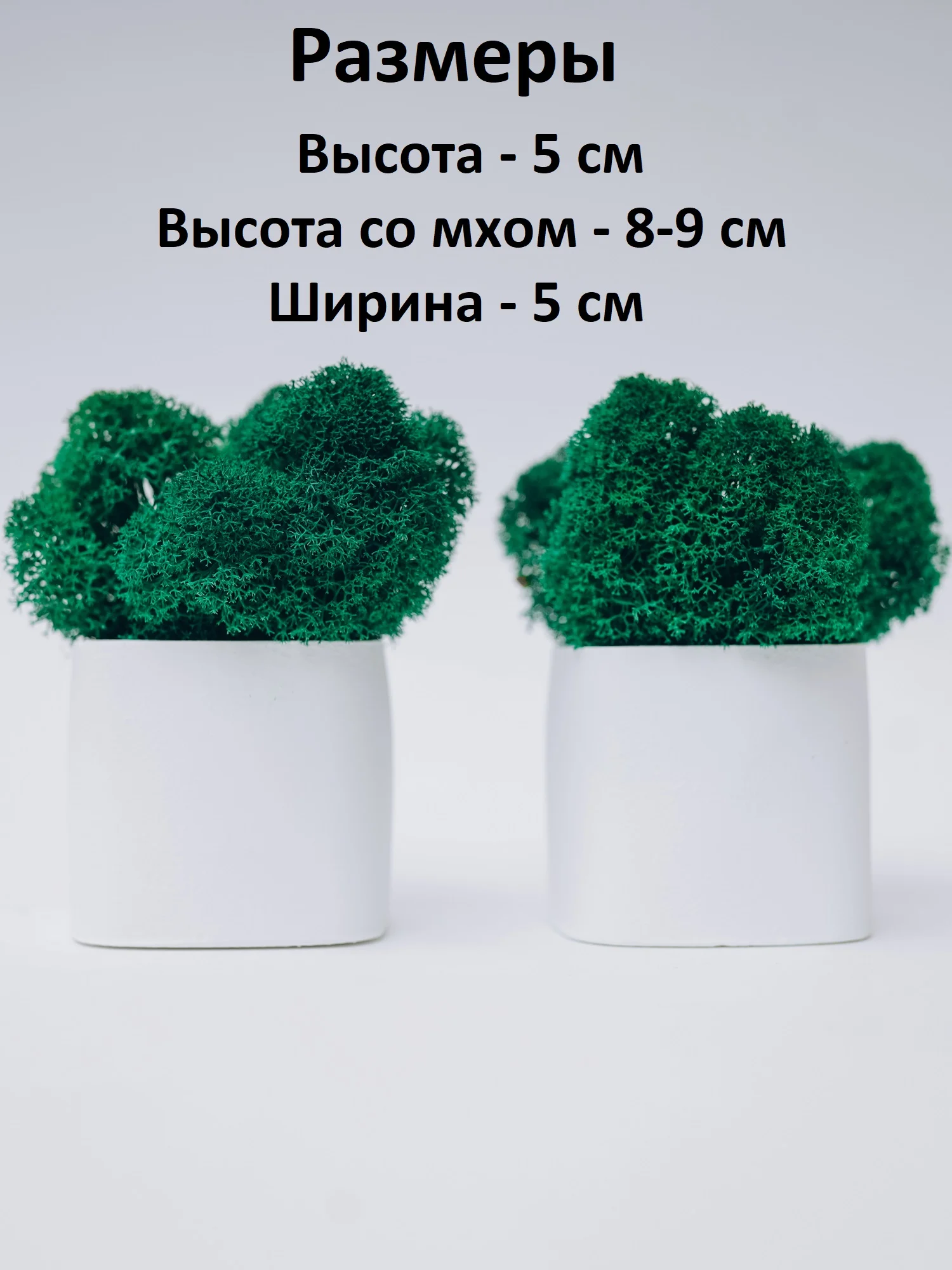 Белый набор декоративных кашпо со стабилизированным мхом