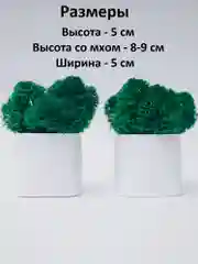 Белый набор декоративных кашпо со стабилизированным мхом