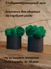 Черный набор декоративных кашпо со стабилизированным мхом