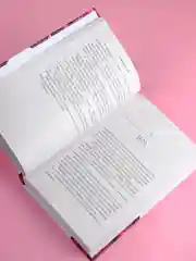 Книга АСТ Моя вина