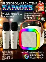Караоке система беспроводная с двумя микрофонами, портативная колонка Bluetooth