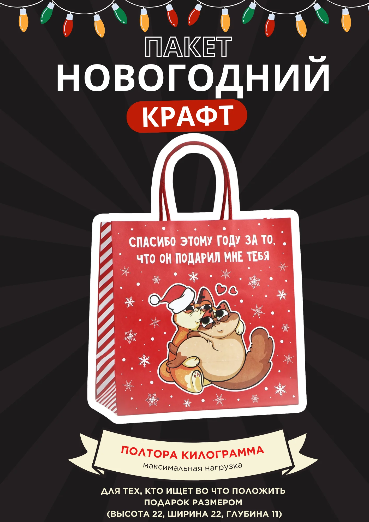 Медный пакет подарочный новогодний, новогодний пакетик "С новым 2025 годом", 22х22см 1 дизайн
