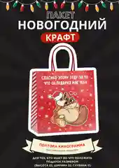 Медный пакет подарочный новогодний, новогодний пакетик "С новым 2025 годом", 22х22см 1 дизайн