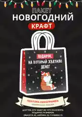 Мятный пакет подарочный новогодний, новогодний пакетик "С новым 2025 годом", 22х22см 1 дизайн