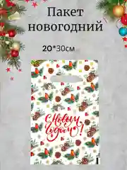 Белый пакет новогодний подарочный, полиэтиленовый с вырубной ручкой, 20 х 30 см, 10 шт
