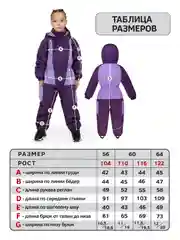 Сиреневый комбинезон демисезонный. Комбинезон детский, Arctic Kids. Осень-весна