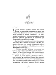 Книга АСТ Дом, где пахнет шарлоткой. О теплых встречах, женской дружбе и мечтах.