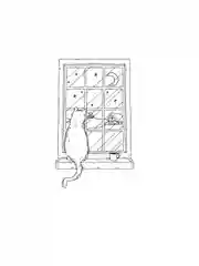 Книга АСТ Бархатная книга. Мудрые истории о любви, дружбе и счастье