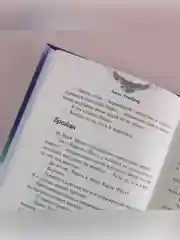 Книга АСТ Нарушая правила