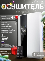 Осушитель воздуха для дома