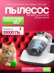 Беспроводной ручной пылесос для мебели. Автомобильный пылесос, для дома и авто, для уборки