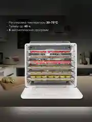 Сушка для фруктов и овощей Hyundai HYFD-8800 12под. 600Вт черный
