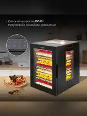 Сушка для фруктов и овощей Hyundai HYFD-8803 28под. 850Вт черный