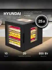 Сушка для фруктов и овощей Hyundai HYFD-8804 20под. 850Вт черный