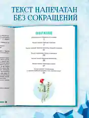 Книга для детей подарочная Г.Х. Андерсен "Снежная королева" 64 стр. Проф-Пресс