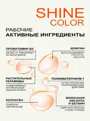 Набор MIXTON: Шампунь, Бальзам для окрашенных волос SHINE COLOR и Несмываемый крем спрей
