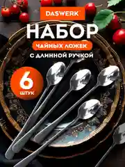 Ложки чайные Daswerk, 609076, набор 6 штук 19,5 см длинные, нержавеющая сталь, серебристые