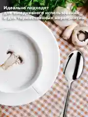 Ложки столовые Daswerk, 609077, набор 6 штук классические, нержавеющая сталь, серебристые