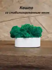 Белый кашпо из гипса со стабилизированным мхом
